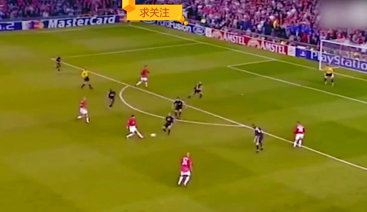 对他的未来 对他的未来